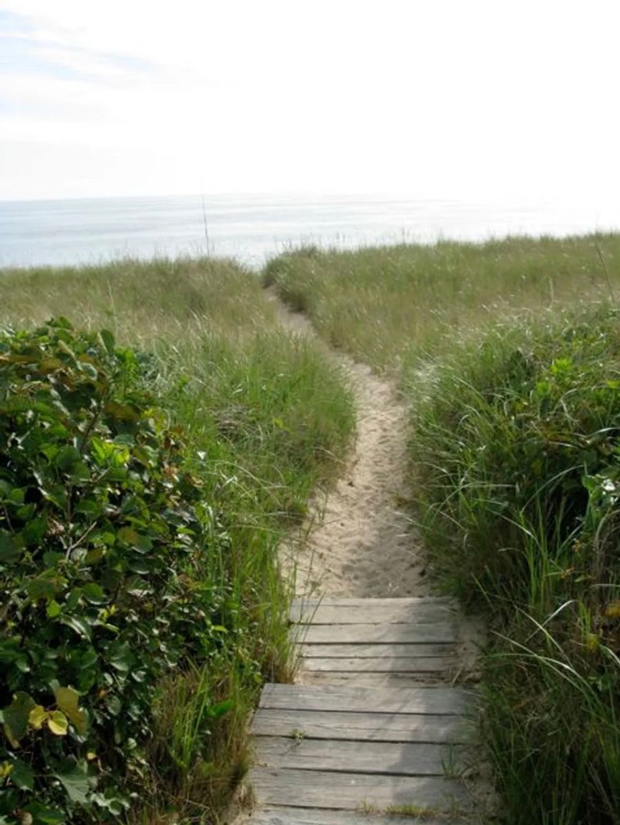 105 Squam Road Nantucket MA, Nantucket Vacation Rentals Lee Real Estate