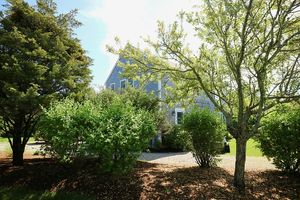 11 Capaum Rd, Cliff